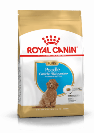 Royal Canin Poedel Puppy voer (3kg)