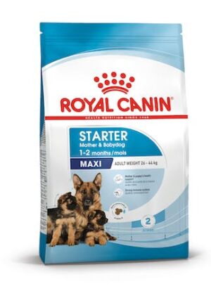 Royal Canin Maxi voeding moederhond en pups 4kg