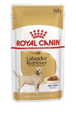 Royal Canin Labrador Retriever Adult natvoer 10x140g