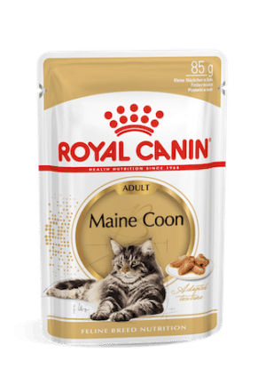 Royal Canin Maine Coon Adult natvoer zakjes 12x85g