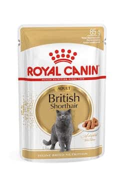 Royal Canin Britse korthaar natvoer zakjes 12x85g