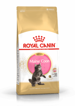Royal Canin Maine Coon Kitten brok 10kg