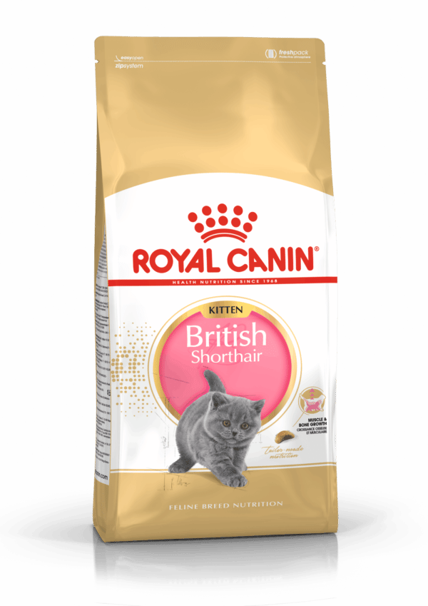 Royal Canin Britse korthaar Kitten 10kg