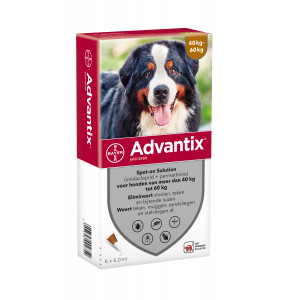 Advantix parasietbehandeling spot-on hond 600 4pip
