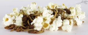 Esve Kippen Popcorn met Insecten 3 L