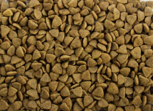 Natural Health Droogvoer Cat Carnivore Fish & Beans 400 gr