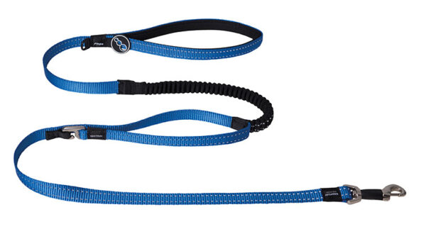 Rogz Beltz Utility Control Lead XL Blue1 st