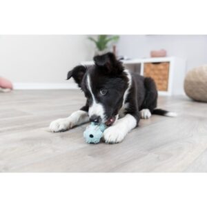 Trixie puppy speelgoed, natuurrubber 9 cm