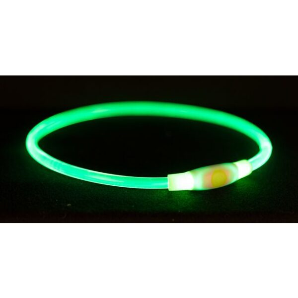 Trixie Flash lichtgevende band USB L–XL: 65 cm/ø 8 mm, groen
