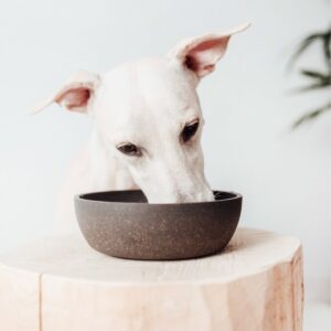 District 70 BAMBOO Dog Bowl - Small - Dark Grey