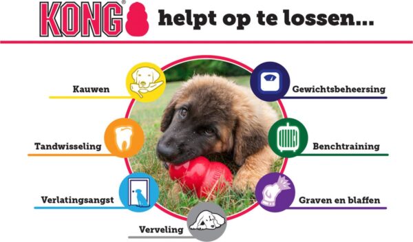 Kong Hond Classic Rubber Rood Medium