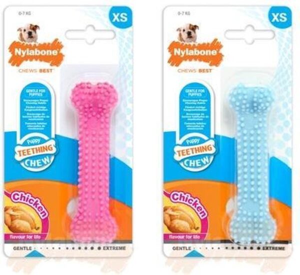 Nylabone Puppy Dental Whisbone XS Kip Roze