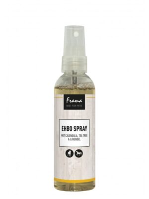 BFP EHBO Spray 100 ml