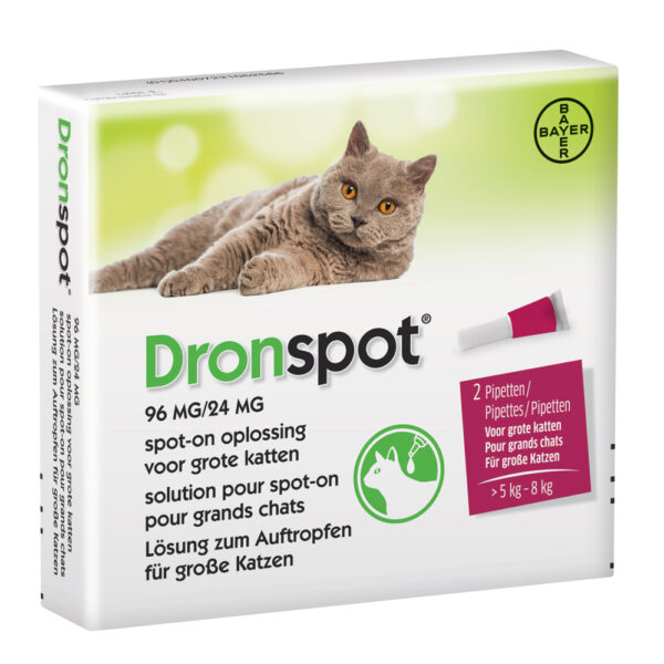 Dronspot grote kat 2pip