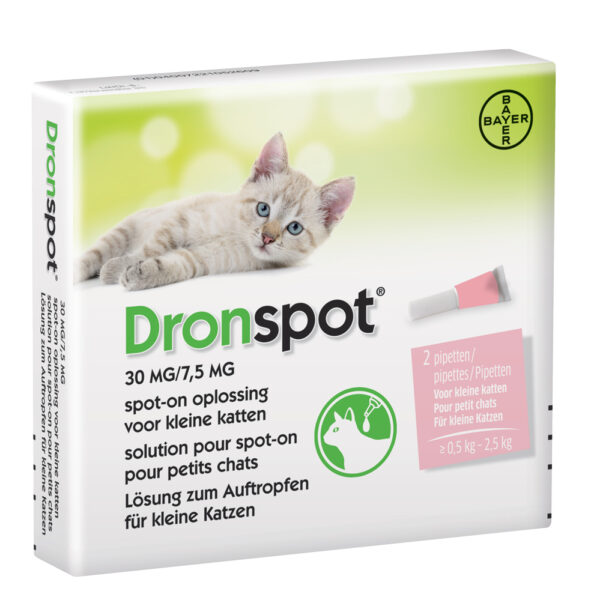 Dronspot kleine kat 2pip