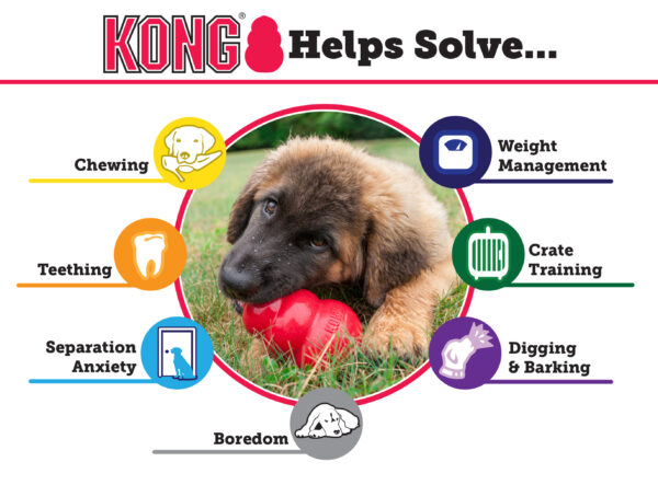 Kong Hond Classic Rubber Rood Large