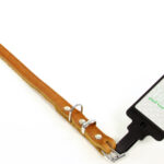 Leerwerk Halsband Vetleer Cognac 1 st