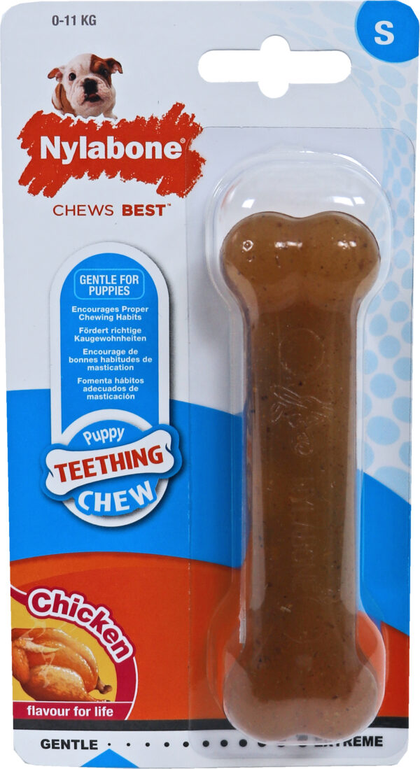 Nylabone Puppy Chew Bone Regular N200P