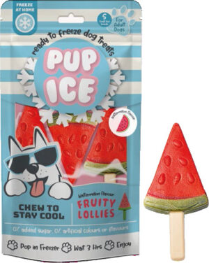 Hondenijsje fruit lollie watermeloen
