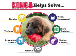 Kong Hond Classic Rubber Rood Large