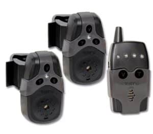 Black Cat Beetindicator Set 2
